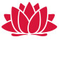 nsw government white