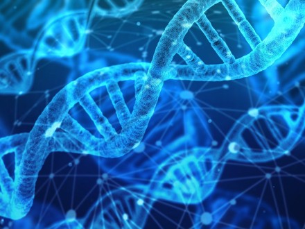 diasorin dna strands wikimedia