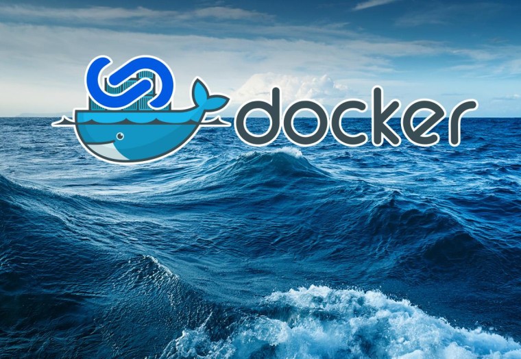 Silverstripe logo riding the docker whale on rough sea